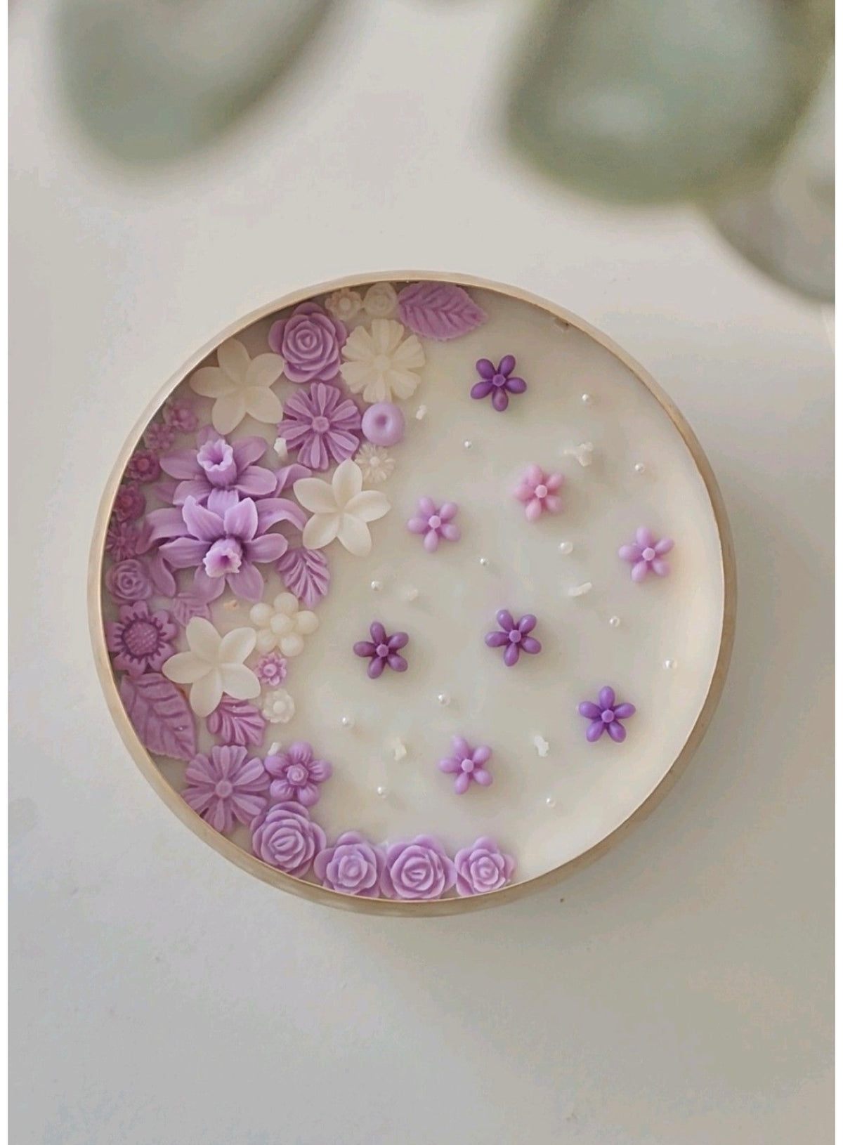 Lavender Reverie