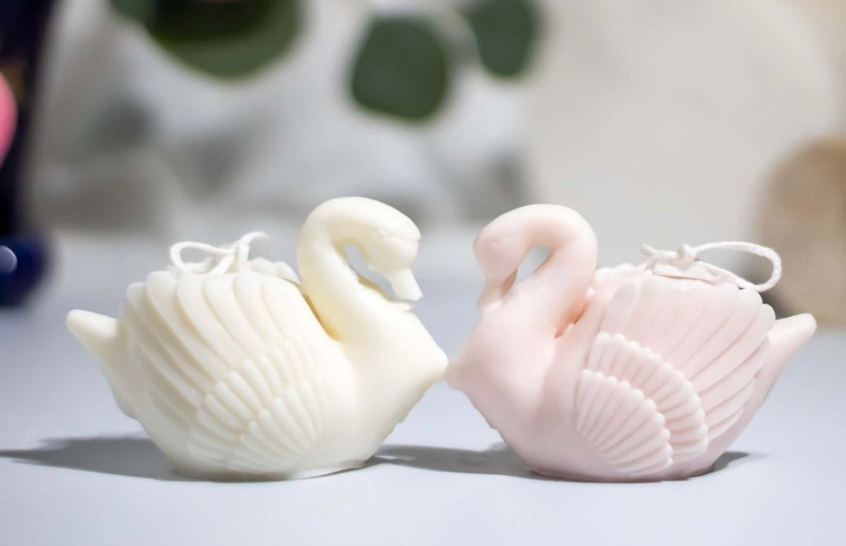 Swan Embrace
