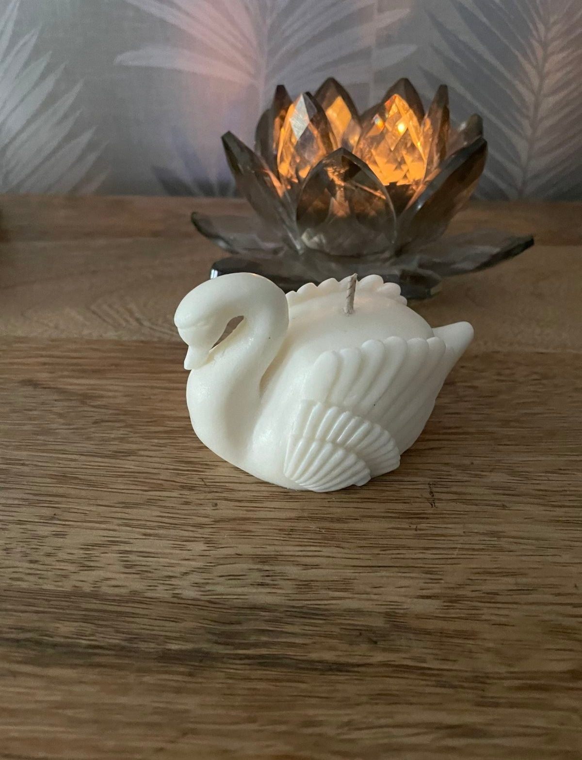 Swan Embrace