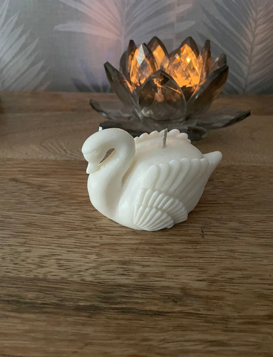 Swan Embrace