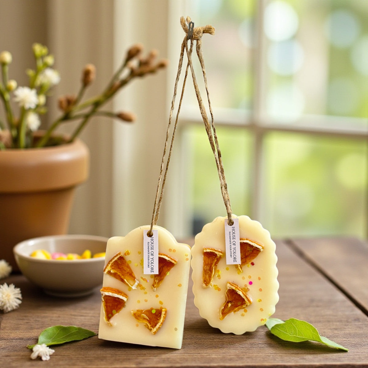 Citrus Solace