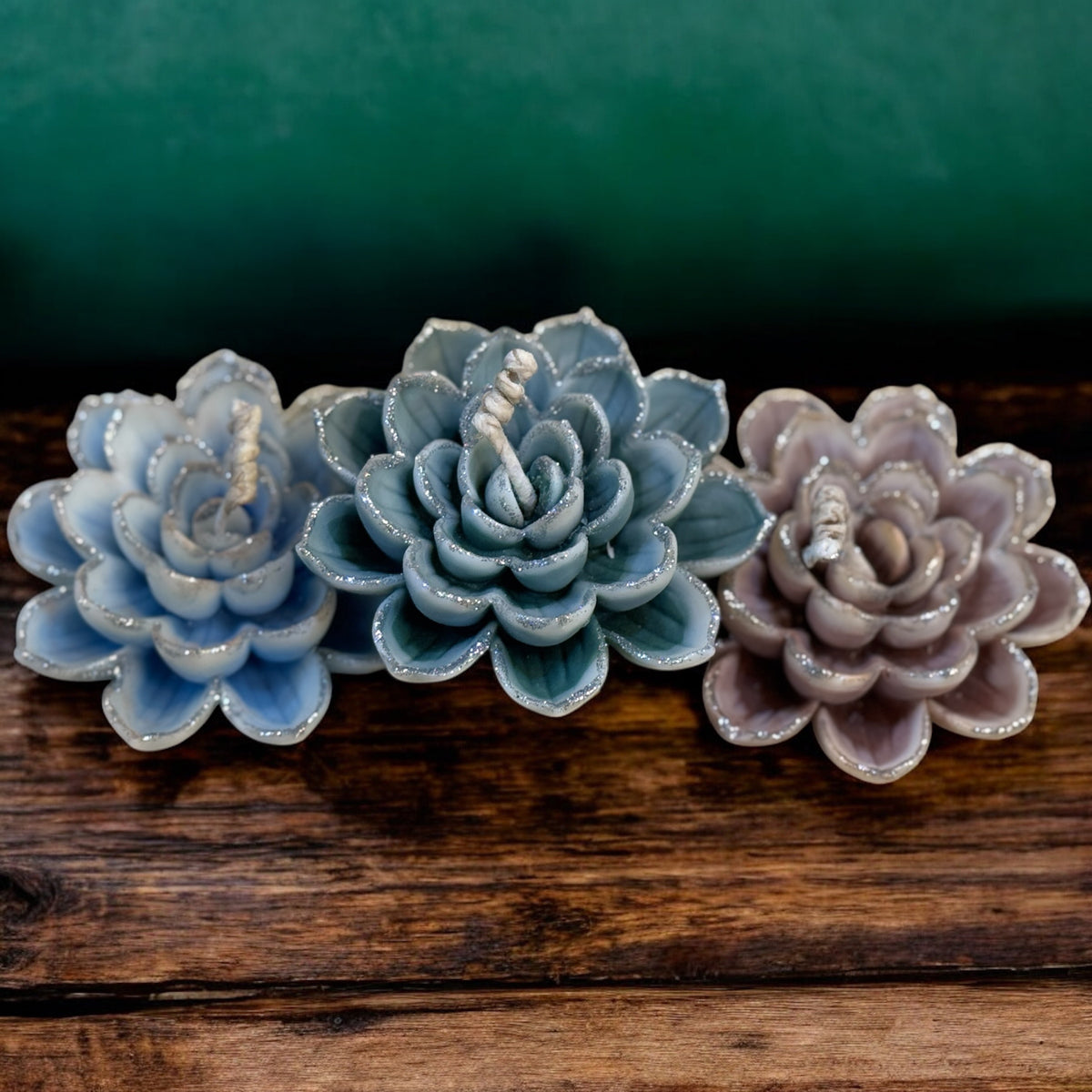 Snow Lotus