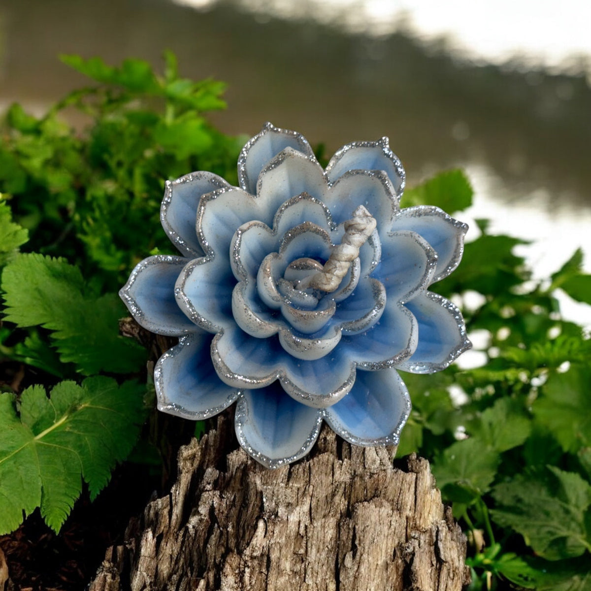 Snow Lotus